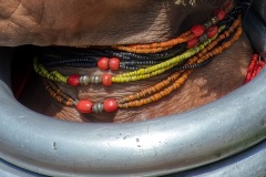 06-India-Orissa-Onokudeli-Market-Gadaba-tribe-woman-N.f.a.-4280